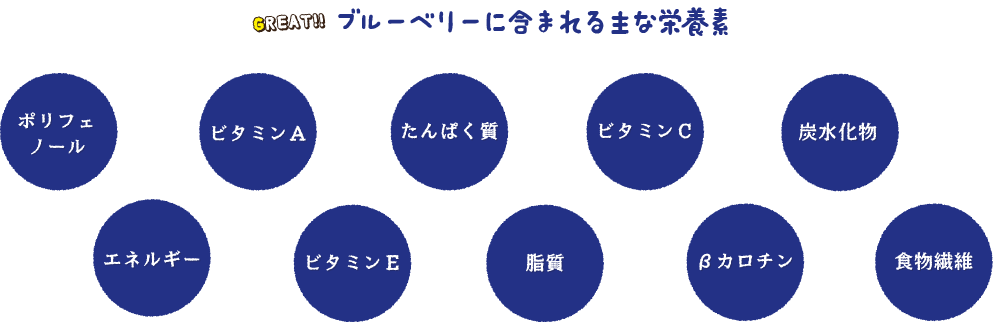 ブルーベリーに含まれる主な栄養素