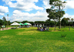 神戸総合運動公園